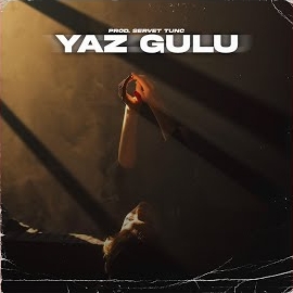 Yaz Gülü