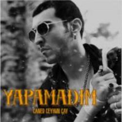 Yapamadım