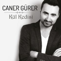 Kül Kedisi