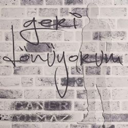 Geri Dönüyorum