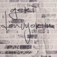 Geri Dönüyorum