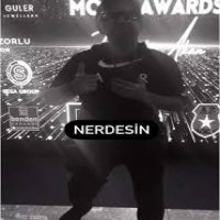 Nerdesin, Revize