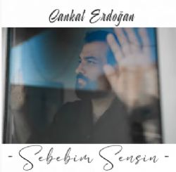 Sebebim Sensin
