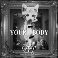 Your Body