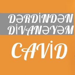 Derdinden Divaneyem