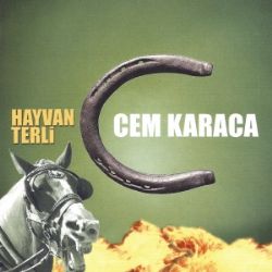 Hayvan Terli