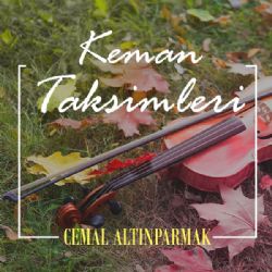 Keman Taksimleri