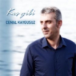 Kış Gibi