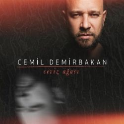 Ceviz Ağacı