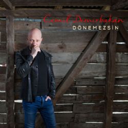 Dönemezsin