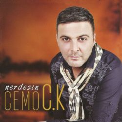 Nerdesin