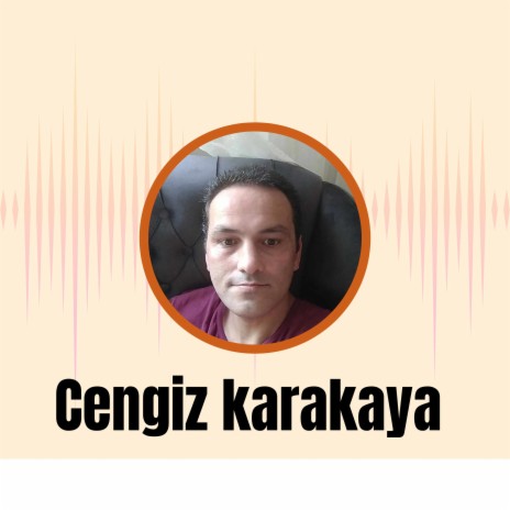 Çektin Gittin