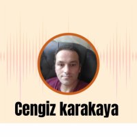 Çektin Gittin