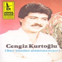 Sen Sözden Anlamazmısın