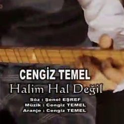 Halim Hal Değil