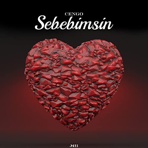 Sebebimsin