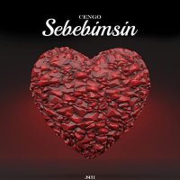 Sebebimsin