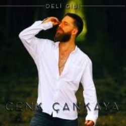 Deli Gibi