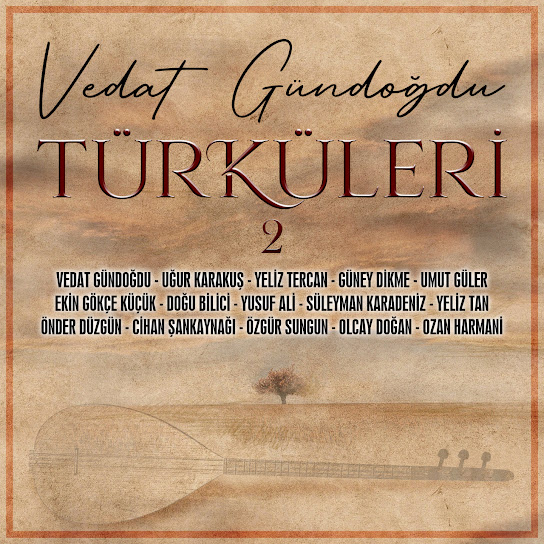 Vedat Gündoğdu Türküleri Vol 2