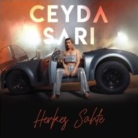 Herkes Sahte