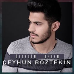 Özledim Desem