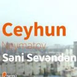 Seni Sevenden
