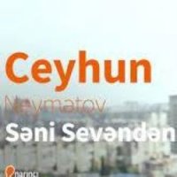 Seni Sevenden