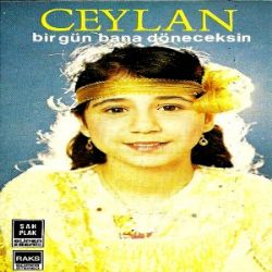 Bir Gün Bana Döneceksin
