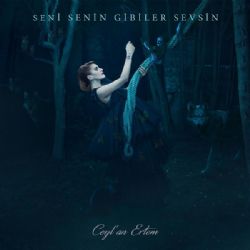 Seni Senin Gibiler Sevsin