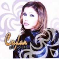 Git Yoluna