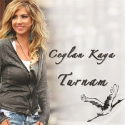 Turnam
