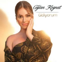 Gidiyorum