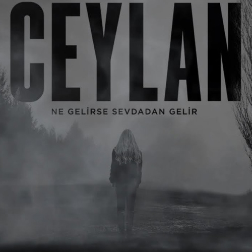 Ne Gelirse Sevdadan Gelir