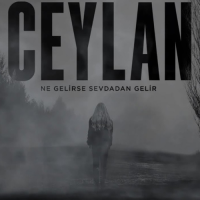 Ne Gelirse Sevdadan Gelir