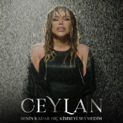 Senin Kadar Hiç Kimseyi Sevmedim