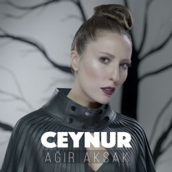 Ağır Aksak