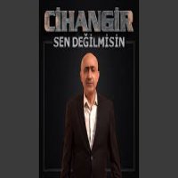 Sen Değil Misin