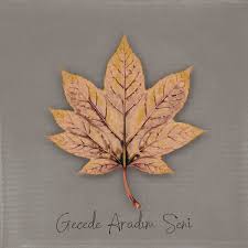 Gecede Aradım Seni