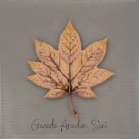 Gecede Aradım Seni