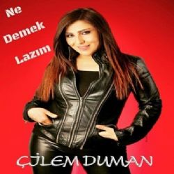 Ne Demek Lazım