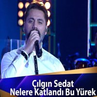 Nelere Katlandi Bu Yürek