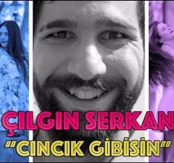 Cıncık Gibisin