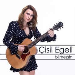 Bilmezsin
