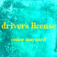 Drivers License