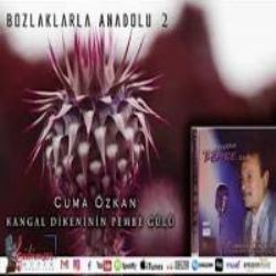 Kirvem Neyleyim
