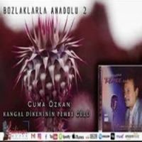 Kirvem Neyleyim