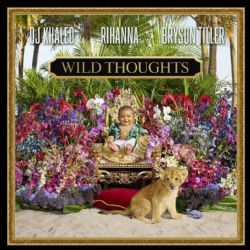 Wild Thoughts