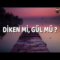 Diken Mi Gül Mü