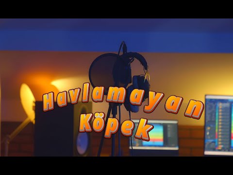 Havlamayan Köpek