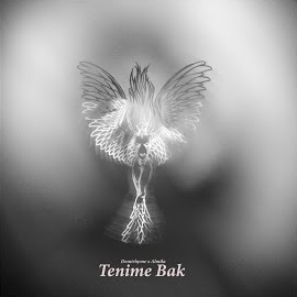 Tenime Bak